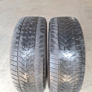 Зимняя резина 2шт. Dunlop