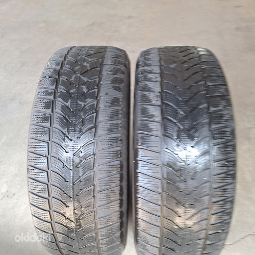 Зимняя резина 2шт. Dunlop