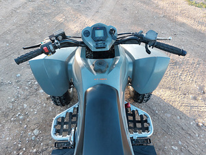Dinli 801 300cc ATV Quad (6 foto / 9)
