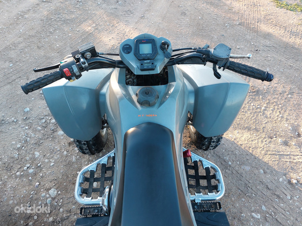 Dinli 801 300cc ATV Quad (foto #6)