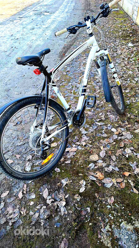 Müüa Jalgratas heas korras hooldatud (foto #1)