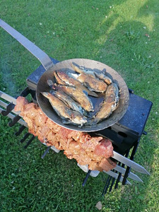 Mangal, grill, šašlõkk (2 foto / 7)