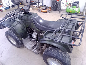Квадроцикл 250 (3 фото из 5)