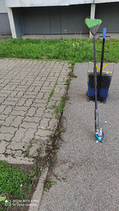 Sambla ja muru puhastamine sillutusplaatide vahedest (2 foto / 10)