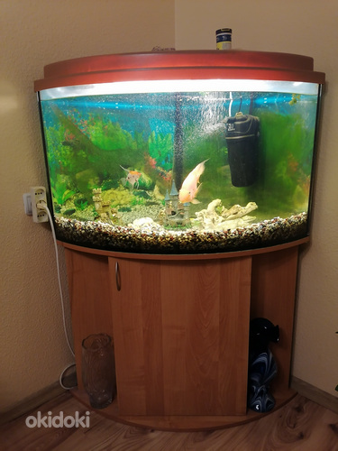 Akvaarim 180l