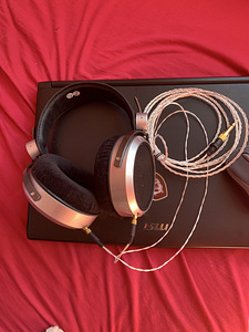 Kõrvaklapid Hifiman HE-300 (1 foto / 2)