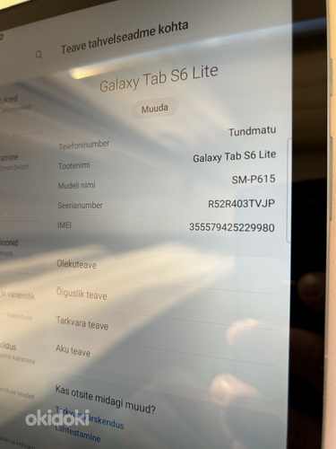 Samsung Galaxy Tab S6 Lite (SM-P615) (foto #5)