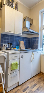 Gorenje mini-köök koos lisakappide, sahtlikapi ja õhupuhasti (2 foto / 2)