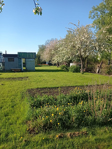 Martsaranna AÜ 30, Martsa, Toila vald, Ida-Virumaa (3 foto / 9)