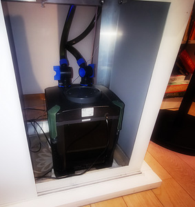 Akvaarium 250L kogu varustusega. (6 foto / 7)