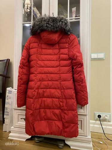 Зимний пуховик пальто куртка с нат. воротником чернобурка S (фото #3)