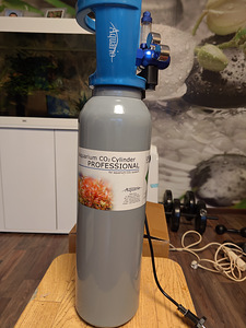 CO2 balloon elustaimedele. (2 foto / 3)