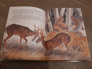 Бемби Ф.Залтен (3 фото из 5)