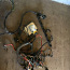 BMW e39/38 m52 провода мотора и мозг (фото #1)