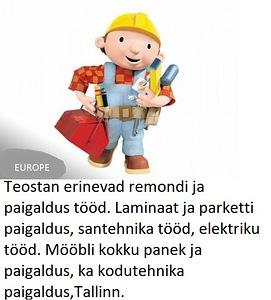 PROFI EHITAJA SUURE KOGEMUSEGA OTSIB TÖÖD (1 foto / 1)