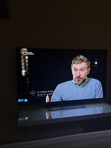 Oled LG 55 (6 foto / 9)