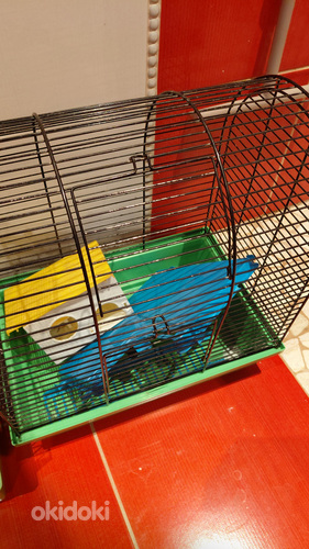 Puur
