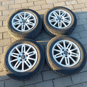 Doublestar Winterking DW08 195/65R15 91T. Шины + диски Volvo (6 фото из 6)
