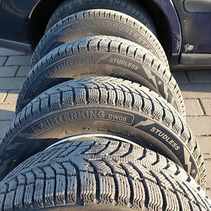 Doublestar Winterking DW08 195/65R15 91T (4 foto / 4)