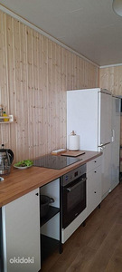 Puhkus majas Peipsi ääres kalameestele ja seenelistele (4 foto / 6)