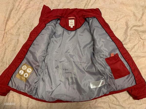 Куртка esprit размер 152-158см (фото #2)