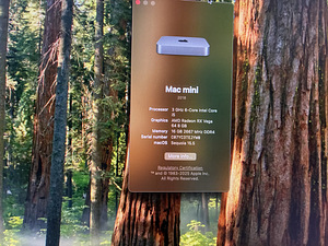Mac mini 2018 i5 6core+Apple cinema display 24+egpu (2 foto / 5)