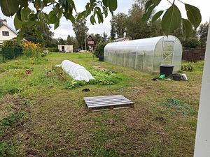 Tõusu tn 66, Kudruküla, Narva, Ida-Virumaa (3 foto / 10)