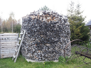 Küte puud (3 foto / 8)