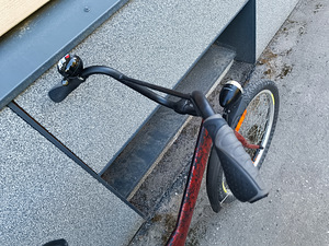 Naiste linnaratas 24" (3 foto / 3)
