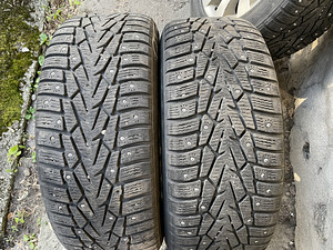 BMW veljed talverehvidega R17 225/55 (8 foto / 8)