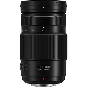 Panasonic Lumix G Vario 100-300mm f/4.0-5.6 II POWER O.I.S. (3 foto / 4)