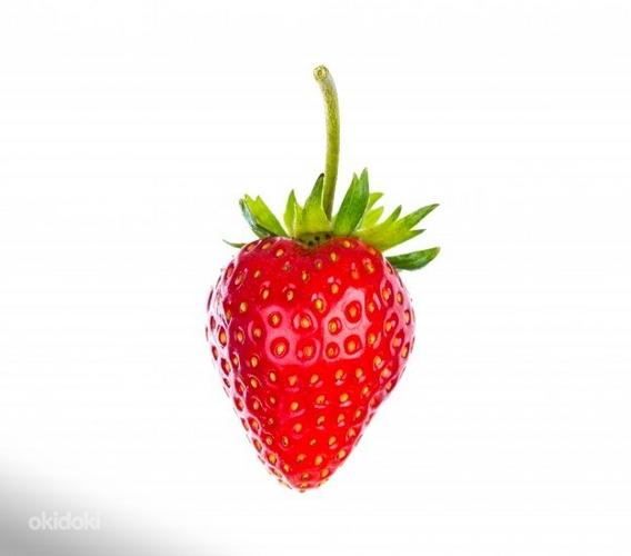 Maasika korjamine (foto #1)