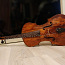 Скрипка 1895 года (фото #1)