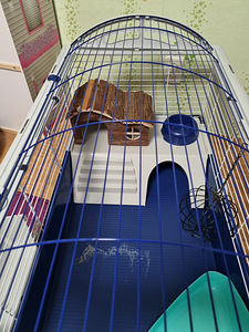 Большая клетка Ferplast Casita 100 (7 фото из 7)