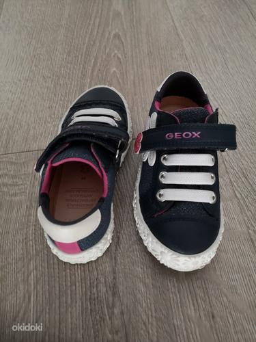 Geox обувь (фото #3)