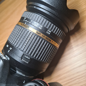 Nikon D7100 + Tamron AF VC 17-50 F2.8 Di II ø72 (8 foto / 8)