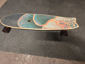 Long board Kruiser (4 foto / 9)
