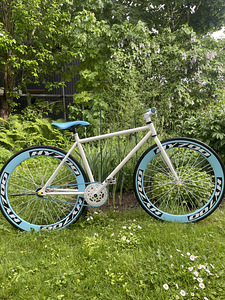 Fixie (2 фото из 2)