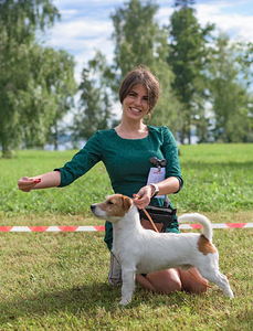 Jack Russelli otsib pruuti (3 foto / 5)