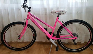 Naiste jalgratas Capriolo MTB Passion L. (2 foto / 2)