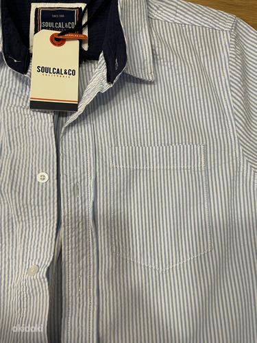 Новая мужская рубашка. Размер S. 100% хлопок (фото #2)