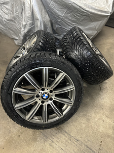 BMW 530 (12 фото из 12)
