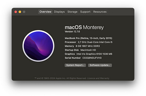 MacBook Pro 13,3" i5 2,7Ghz/8GB/512GB/SWE (Early 2015) (3 foto / 3)