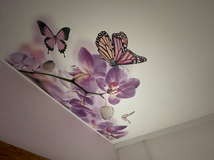 Laed24 Pinglagede paigaldus ja LED valgustus (6 foto / 6)