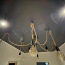 Натяжные потолки и LED освещение от LAED24 (фото #3)