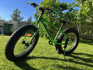 Велосипед BOTTECCHIA WILD BOY 24 ”толстый велосипед (5 фото из 9)