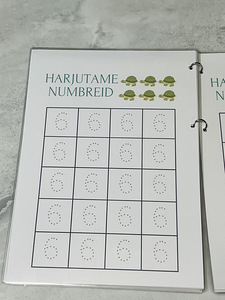 Minu numbrite raamat (4 foto / 4)