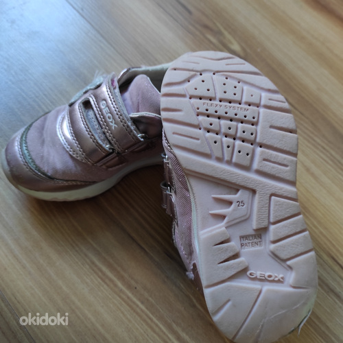 Geox 25
