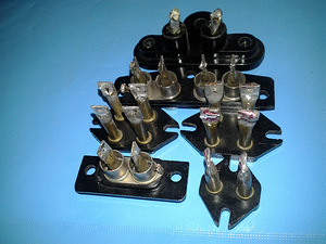 Гнездо (3 фото из 3)