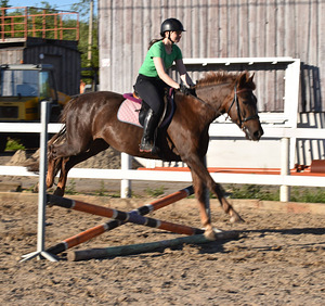 MÄRA, SÜND. 2018, TURJA KÕRGUST 147 CM ILMA RAUATA, RISTAND. (7 foto / 10)